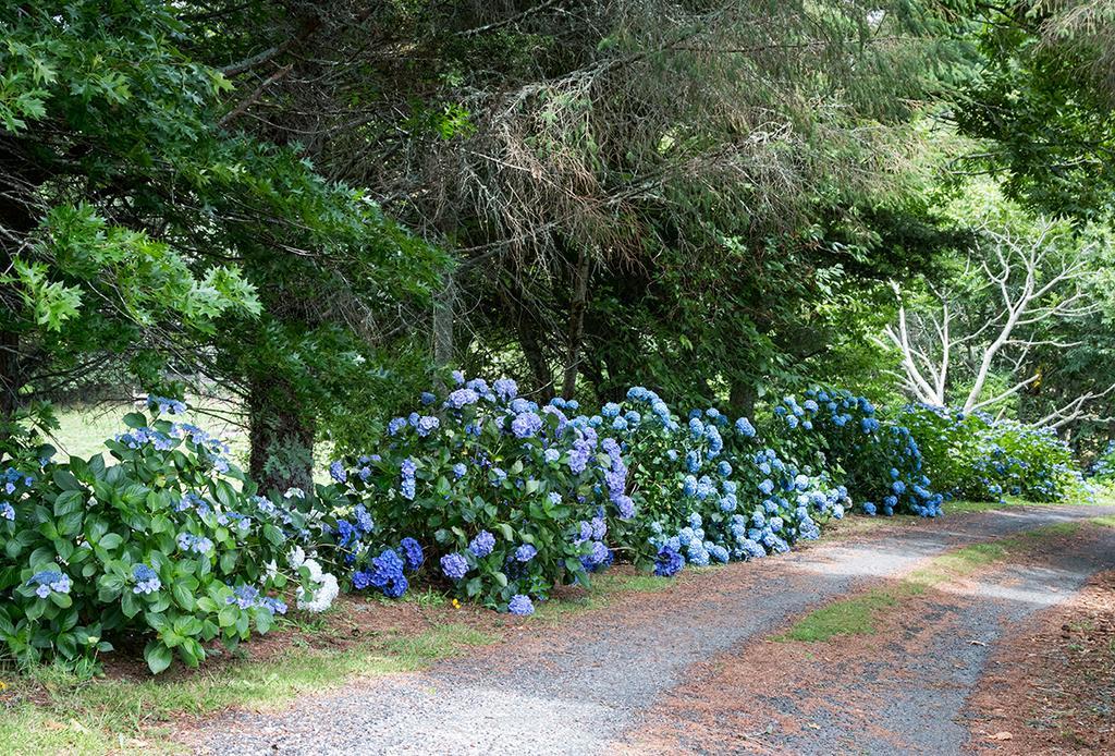 Doolans Country Retreat B&B Distretto di Distretto di Rotorua Esterno foto